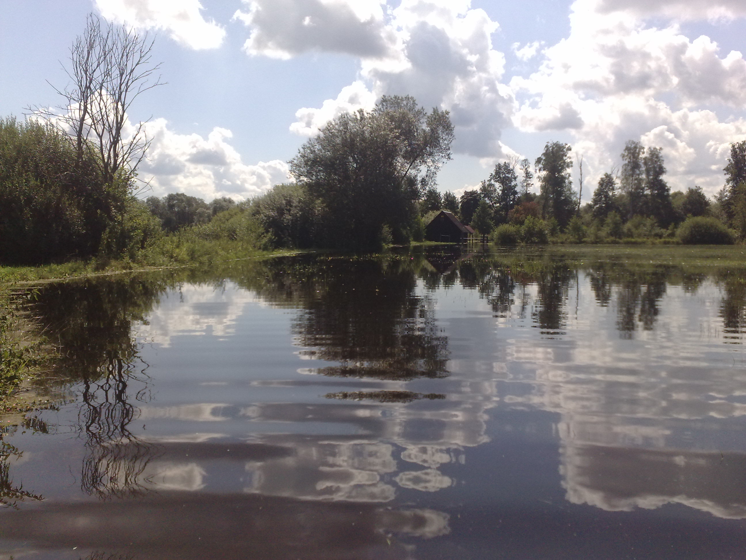 10082010412.jpg